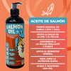 Aceite de Salm?n Perro 1 Pack