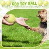 Suilung 24 Pcs Squeaky Dog Balls Latex Rubber Squeaky Dog