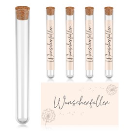 BBTO Wish Fulfiller Money Gifts 5 Transparent Test Tubes and 5 Test Tube Paper Test Tube with Cork Test Tube with Wish Filler Dandelion Patterns Paper for Seeds Invitations Vouchers