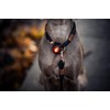 Orbiloc Dual Flashing/Solid Safety LED Light for Dogs - High