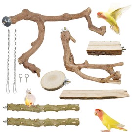 Woohome Natural Wooden Perch Bird Stand Parrot Perch Stand, Natural Wood Platform Bird Climbing Standing Branches Toy for Small Lovebirds Budgies Cockatiels