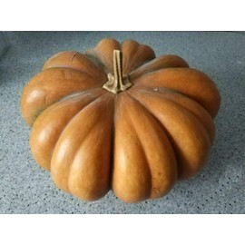 CEMEHA SEEDS - Pumpkin Musquee De Provence Giant Rare Non GMO Vegetable for Planting
