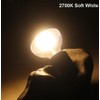 Half Chrome Light Bulbs,Half Gold Tipped Dimmable 6W (Equivalent 60Watt)