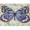 RACHEL ZOE MELAMINE Spring Floral Butterfly 10.75" Dinner Plates (Set