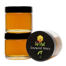 Bee Wild 100 % Pure Raw Organic Unfiltered Honey - Sourwood, 3 ounce Pack of 4