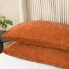 CaliTime Fall Throw Pillow Covers Decorative 20 X 26 Inches