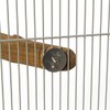 HappyBird Corner Perch Rainforest Corner Perch - XL
