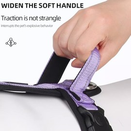 Arnés para Perros Reflectante y Transpirable - Correa de Pecho Cómoda para Perros con Correa 1.5m (Rojo, S)