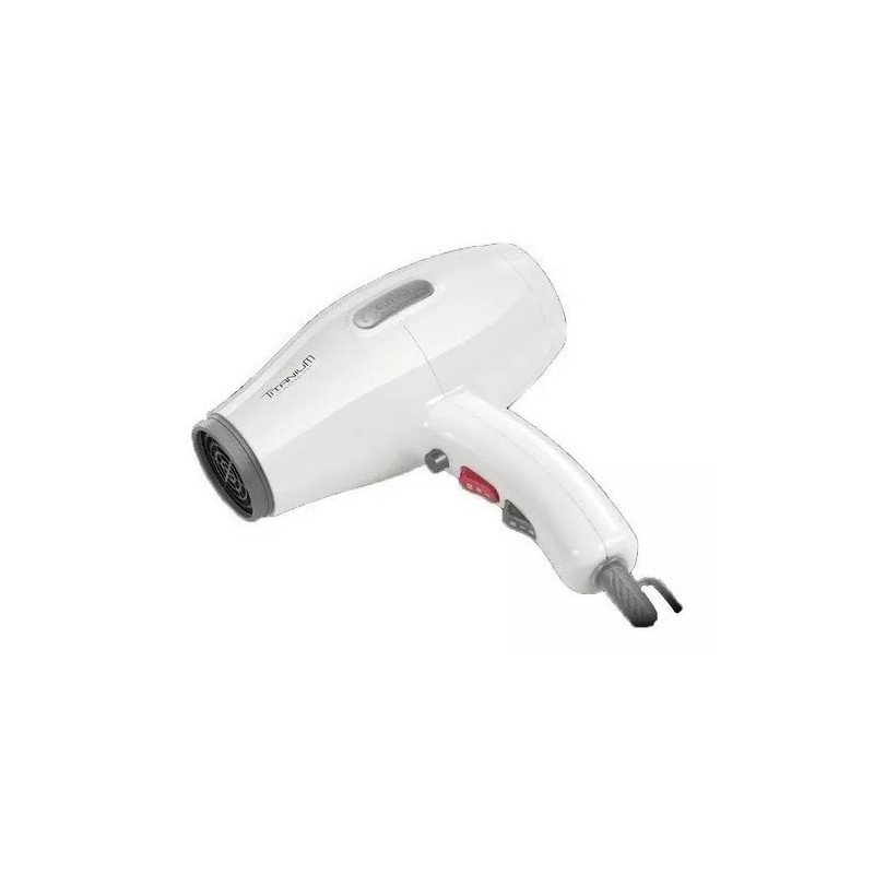 GA.MA Italy Secadora Cabello Titanio Profesional Compacta Motor Ac Viaje