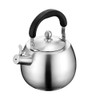 Heavy Duty Tea Kettle Stovetop Whistling Teakettle Teapot,seamless bottom, Stainless