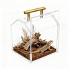 Jumping Spider Enclosure, Insect Terrarium, Praying Mantis Habitat, Reptile Enclosure,Spider