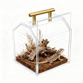 Jumping Spider Enclosure, Insect Terrarium, Praying Mantis Habitat, Reptile Enclosure,Spider Habitat Caterpillar Habitat (5.5‘’x4.7''x6.5'')
