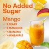 Dr. Smoothie 100% Crushed Mango – No Added Sugar, Made