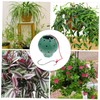 BESPORTBLE 3pcs Plastic Plant Holders Sunflower Holders Multihole Planter Baskets