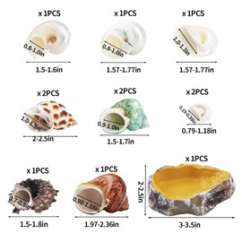 13PCS Natural Small Medium Hermit Crab Shells with Sea Sponge & Water Bowl