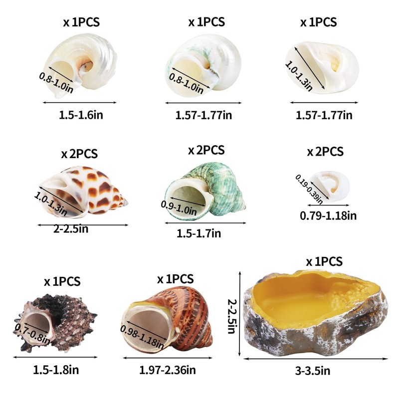 13PCS Natural Small Medium Hermit Crab Shells with Sea Sponge