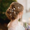 Nogeqi Pack of 12 Hair Pins Wedding Bridal Hair Accessories