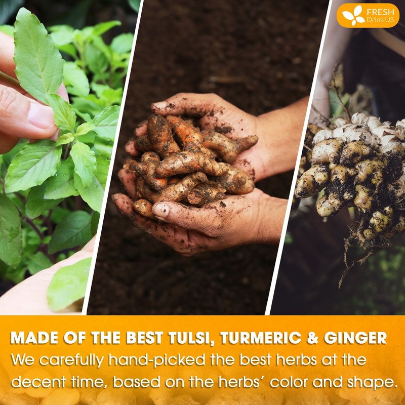 FreshDrinkUS, Premium 135 Tulsi Turmeric Ginger Tea Bags, 100% Natural