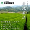 YaMECHA Iwasakien Tea Trial Set, 6 Types, 0.2 oz (7