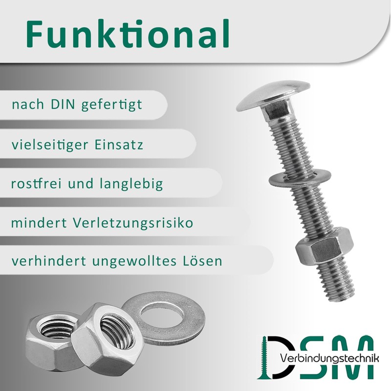 DSM - Carriage Bolts M5 x 25 mm DIN 603
