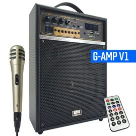 EMB 300 Watts Rechargeable Guitar Speaker Amplifier Combo with SD USB MIC Echo -V1 Built-in Bluetooth for Audio Streaming 6.5 inch Subwoofer Sound System & Remote Control