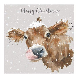 Wrendale Designs by Hannah Dale - First Taste Of Snow - Luxury Christmas Card Set - Pack of 8
