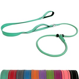 LWBMG Slip Lead Dog Leash with Double Handle,6 FT Heavy Duty Dog Training Leashes, No-Pull Reflective Nylon Slip Leash and Collar for Medium Small Dogs Mint Green