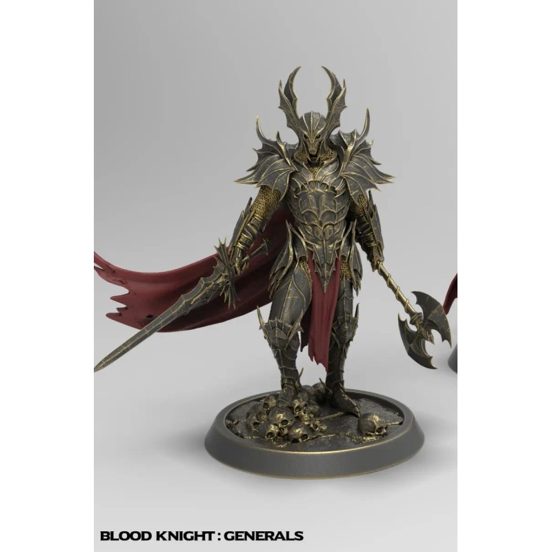 Miniatura Calabozos Y Dragones 35mm Lop Order Inmortalis