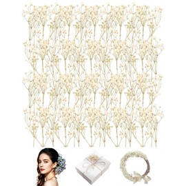 SCJJZ 50PCS Gypsophila Essiccata Fiori Secchi per Decorazioni,Fiori secchi Decorativi,Mini Fiori Bianchi di Gypsophila Secchi in Vera Natura per l'artigianato Artistico di Resina, Nozze Decorazion