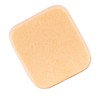 Vega Compact Sponge - Rectangle 1 Pcs