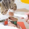 CUITIBI Small Spatula For Short Can, Cat Food Scoop, Wet