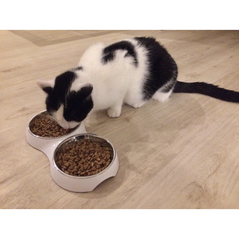 Design Feeding Bowl for Cats with Stainless Steel Inserts (2