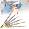 6pcs Dental Composite Resin Filling Spatula Dental Instrument Accessory