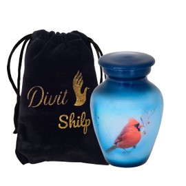 Divit Shilp Small Keepsake Cremation Urn with a Velvet Bag | A Choice of Colours | Usable Mini Metal Symbol Pot for Human Ashes (Keepsake, Hummingbird Cardinal)