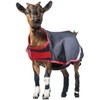 Horseware® Goat Coat (100g Light)