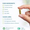 Igennus Advanced Berberine Phytosome 550mg & Chromium Picolinate,10x Absorption, Super