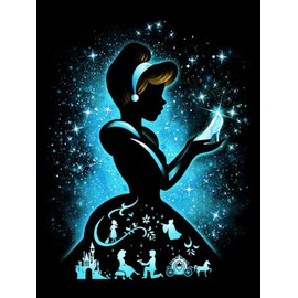 HUANNY DIY Diamond Painting Cinderella Diamond Art Kits, 5D Full Drill Cross Stitch Embroidery kit, Funny