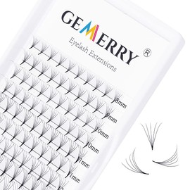 Pre Made Fan Eyelash Extensions 5D Fans 0.07mm D Curl 8-14mm Mix 5D Cluster Eyelash Extension Premade Fans Volume Russian Individual Lashes Cluster Gemerry Fan Lash Extensions(0.07-5D-D curl-Mix)