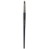 BISYODO SHIORI Series Point Brush