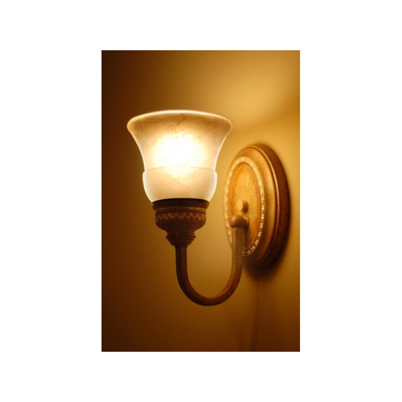 Feit Electric IntelliBulb – Battery Backup LED Bulb, Soft White
