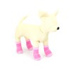 ranzyu (L 'Ange) Pet Socks 4 Pairs Set Sand Pink