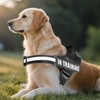 BMYUK Anti-Pull Dog Harness Reflective Elements Carabiner Design Adjustable Breathable