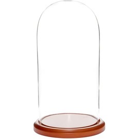 Plymor 5.5" x 11" Glass Display Dome Cloche (Walnut MDF Base)