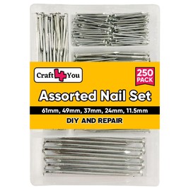 Craft 4 You Zinc Plated Assorted Flat Head Nails, 250pcs - 6 Sizes Flat Head Nails - for framing and Fencing, Wood Work, DIY, Home, Woodwork, Multipurpose Nails C Nails for Brick, Wood, and Masonry