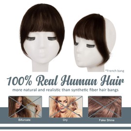 BARSDAR Clip in Fringe Human Hair 100% Real Hair Fringe Extensions Clip in French Bangs Fringe with Temples Clip on Fringe Bangs Real Hair Pieces for Women Natural Color Washable/Dye-able 4#