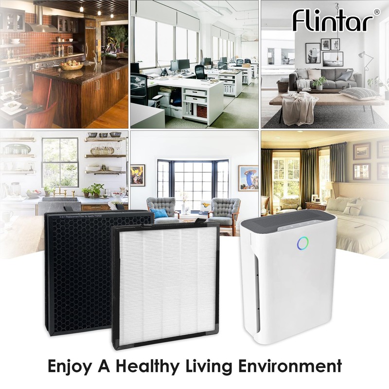 Flintar True HEPA Replacement Filter, Compatible with Okaysou(Oksou) Apollo 630/718