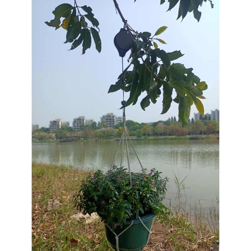 MuchL 4 Pack Retractable Plant Hanger Heavy Duty Plant Pulley