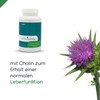 orthobiotix Milk Thistle - with Choline, Artichoke and Dandelion Extract