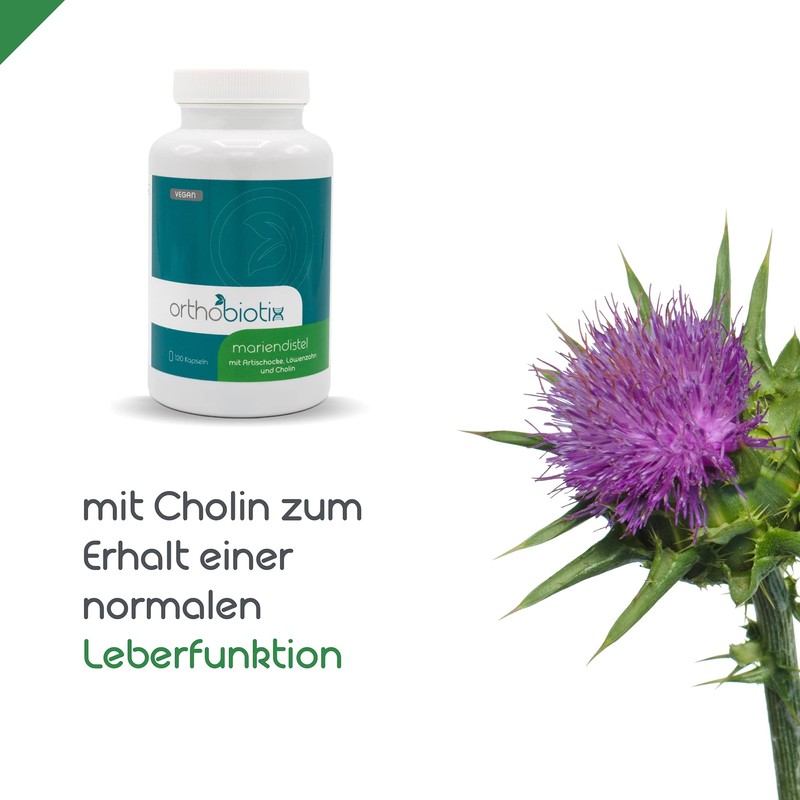 orthobiotix Milk Thistle - with Choline, Artichoke and Dandelion Extract