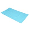 Sliding Draw Sheet Multifunctional Nylon Light Blue Patient Transfer Slide